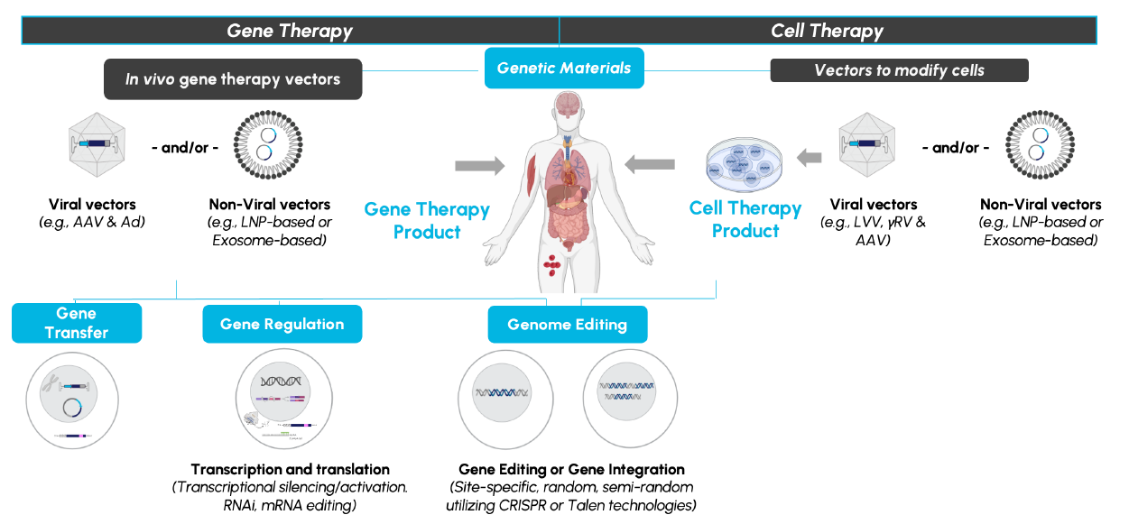 southwest illustration [Converted]